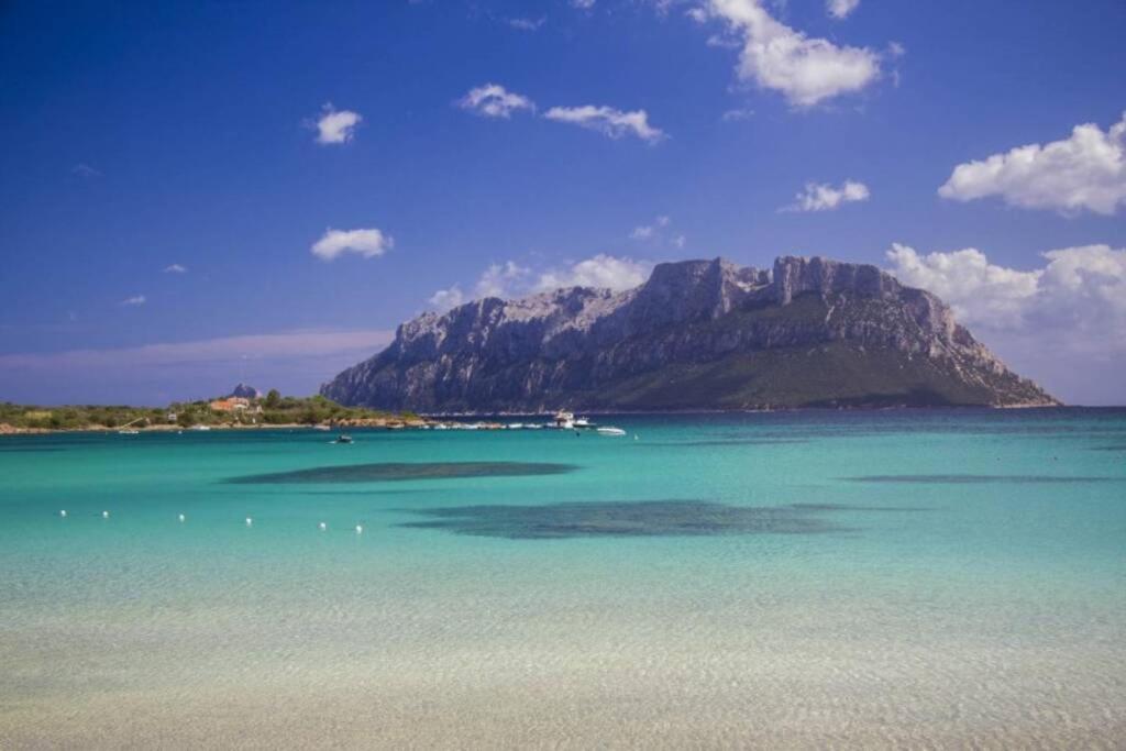 Villa And Pool Tavolara View Porto Istana 外观 照片