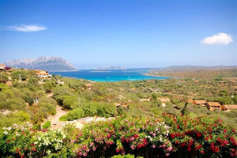 Villa And Pool Tavolara View Porto Istana 外观 照片